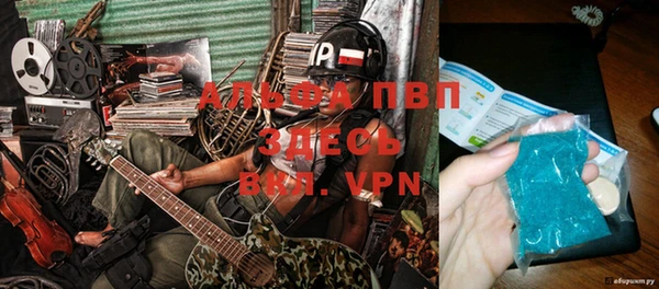 Альфа ПВП Белокуриха