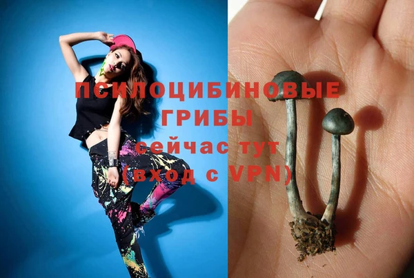 молекула духа Белоозёрский