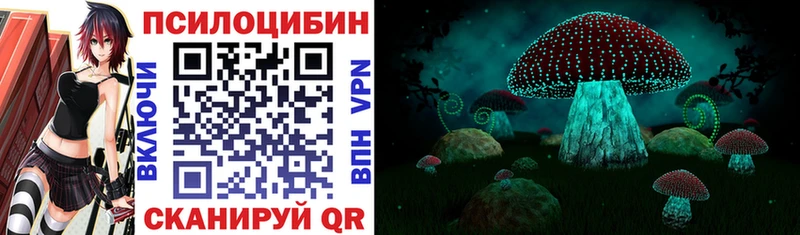 Галлюциногенные грибы GOLDEN TEACHER  наркотики  Бирюч 
